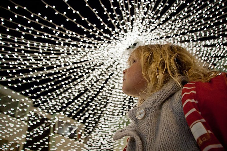 4 the best outdoor solar string lights