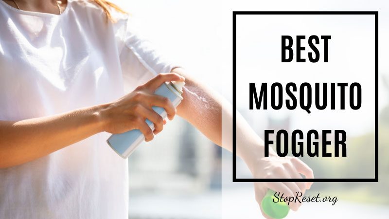 best mosquito fogger